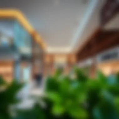 Magnificent Damac Hills 2 Community Center Shops: A Comprehensive Exploration Magnificent Damac Hills 2 Community Center Shops: A Comprehensive Exploration