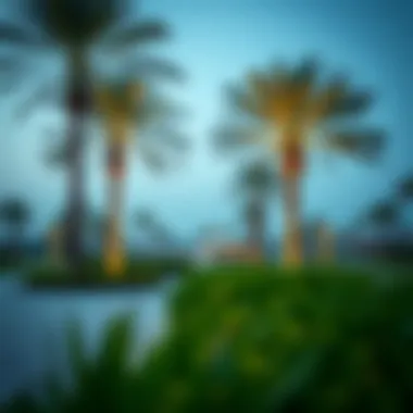 Magnificent Exploring Damac Hills Park: A Comprehensive Overview