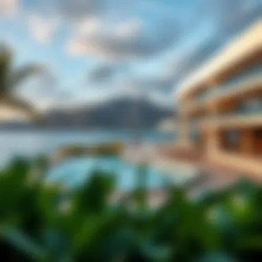 Magnificent Exploring Gardenia Bay: A Comprehensive Insight Magnificent Exploring Gardenia Bay: A Comprehensive Insight