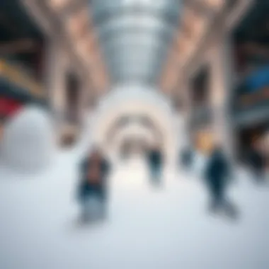 Magnificent Exploring the Intricacies of Emirate Mall's Snow Experience Magnificent Exploring the Intricacies of Emirate Mall's Snow Experience