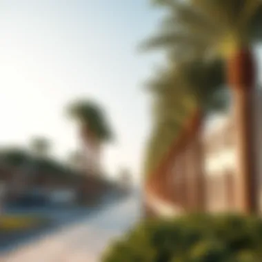 Magnificent Jebel Ali Palm Project: A Comprehensive Examination Magnificent Jebel Ali Palm Project: A Comprehensive Examination