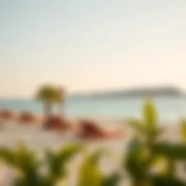 Serene Beachfront Relaxation Relaxing beach scene near budget resorts