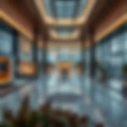 An In-Depth Exploration of Dubai Falcon City Introduction