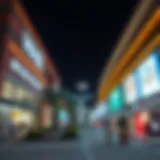 An In-Depth Exploration of Wasl Village Retail Center Introduction