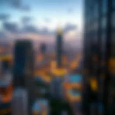 Skyline Perspective from Apricot Tower Panoramic skyline view from Apricot Tower highlighting its strategic location
