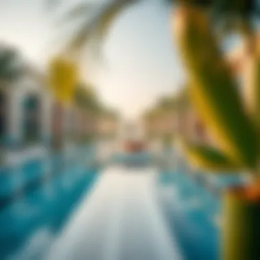 Luxurious Amenities in Aster Ras Al Khor Luxurious amenities at Aster Ras Al Khor