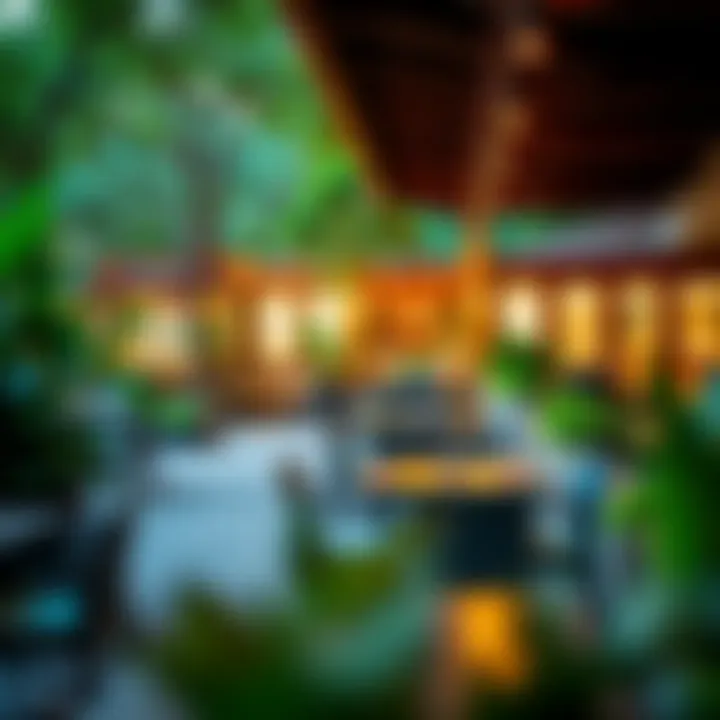 A vibrant outdoor seating area filled with lush greenery and ambient lighting