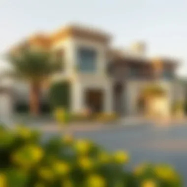 Discover Dubai's Exquisite Luxury Villas Luxury villas in a prominent Dubai neighborhood