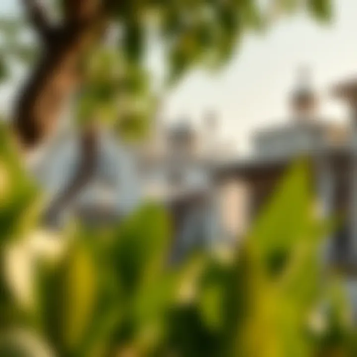 Cultural Highlights of Visa-Free Countries Cultural landmarks of a popular visa-free country