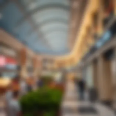 Damac Hills 2 Community Center Shops: A Comprehensive Exploration Summary Damac Hills 2 Community Center Shops: A Comprehensive Exploration Summary