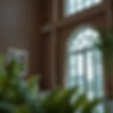 Understanding Ejari Cancellation Reasons Understanding Ejari cancellation reasons