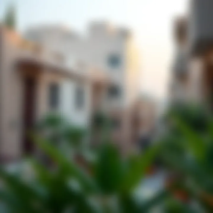 Charming budget-friendly apartments in a vibrant neighborhood