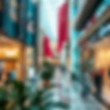 Exploring Affordable Shopping Malls in Dubai Introduction