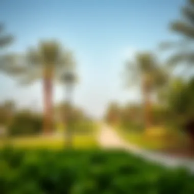 A serene view of Al Bateen Park showcasing its lush greenery and walking paths.