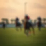 Lavish polo field at Al Habtoor Polo Club
