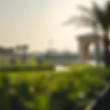 Activities at Al Quoz Pond Park Visitors enjoying activities at Al Quoz Pond Park