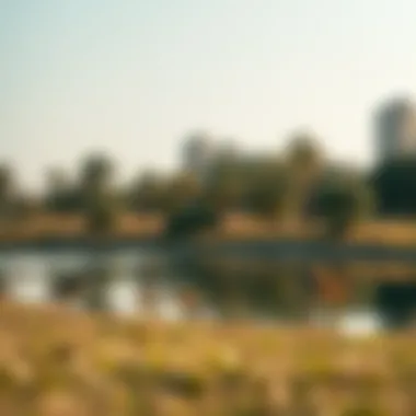 Wildlife in Al Quoz Pond Park Wildlife thriving in Al Quoz Pond Park