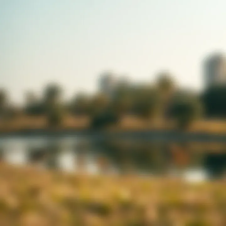 Wildlife in Al Quoz Pond Park Wildlife thriving in Al Quoz Pond Park