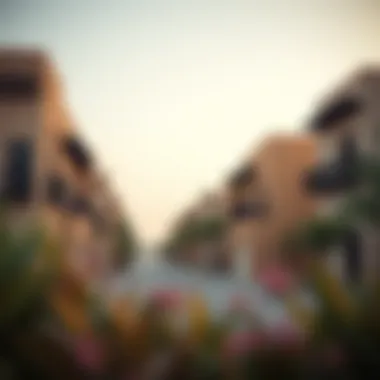 Exploring Investment Potential in Al Seef Village Investment opportunities within the scenic surroundings of Al Seef Village