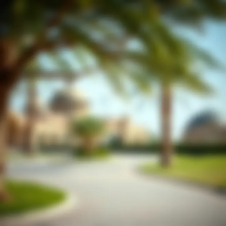 Parks and Recreation in Al Shamil Qusais Recreational parks in Al Shamil Qusais providing leisure options