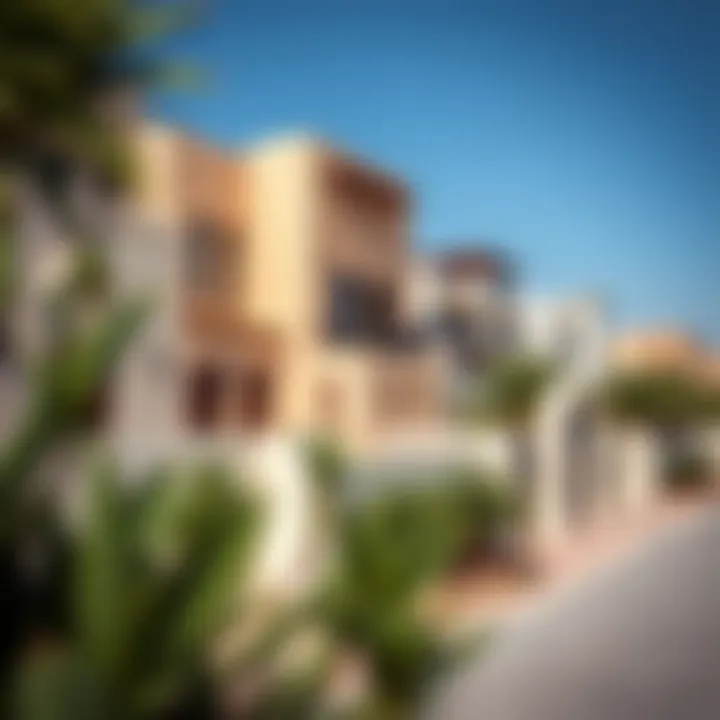 Unique Arabian Architecture A slice of life in a vibrant Arabian neighborhood highlighting unique architecture