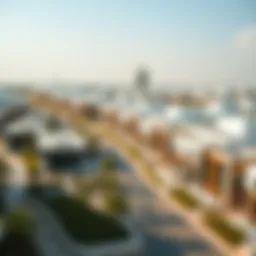 Aerial view of Barnes community in Dubai showcasing modern architecture