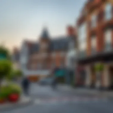 Cultural landmarks and community spaces in Barnes, emphasizing local culture