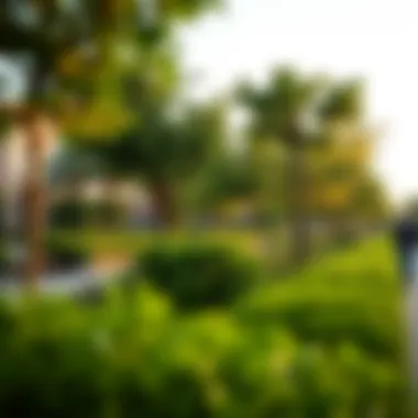 Lush greenery and parks in Barnes, highlighting the neighborhood's appeal