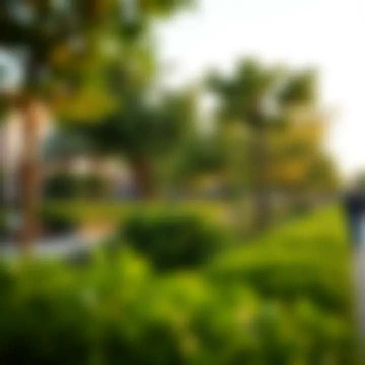 Lush greenery and parks in Barnes, highlighting the neighborhood's appeal