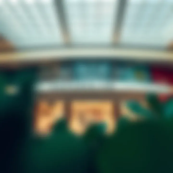 Exploring Barsha Mall and Its Tasheel Services Summary