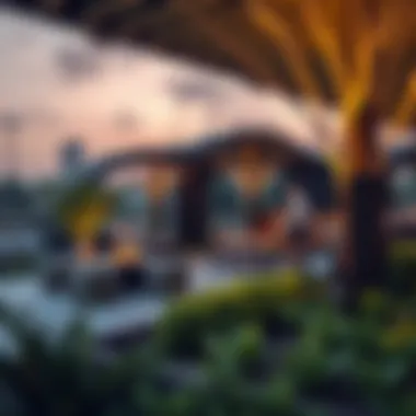 Exploring Damac Hills Park: A Comprehensive Overview Summary