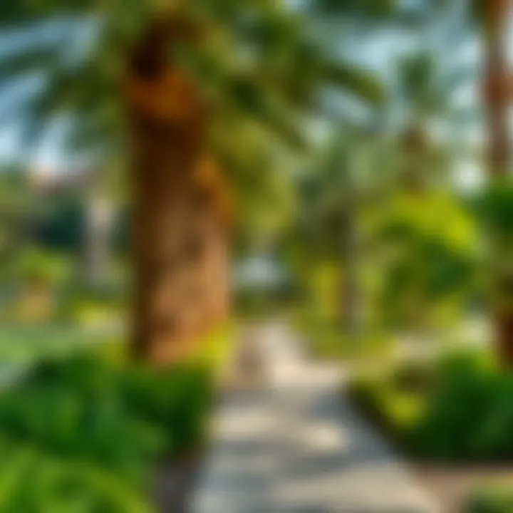 Green Spaces in Dreamland Deira A serene park in Dreamland Deira with lush greenery and relaxation areas