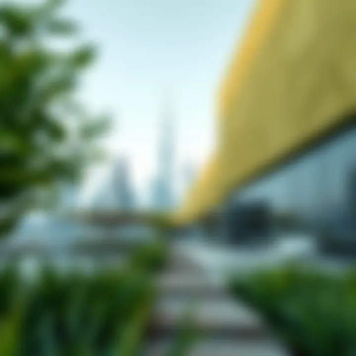 Innovative Eco-Home Designs in Dubai Green architecture reflecting Dubai's skyline