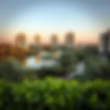 Lush Parks Amidst Urban Splendor A panoramic view showcasing Dubai's lush parks and modern architecture.