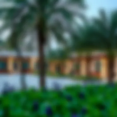 Community gathering spaces within the park