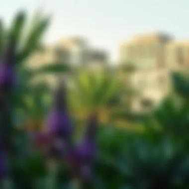 Lush greenery at حديقة القرائن showcasing diverse flora