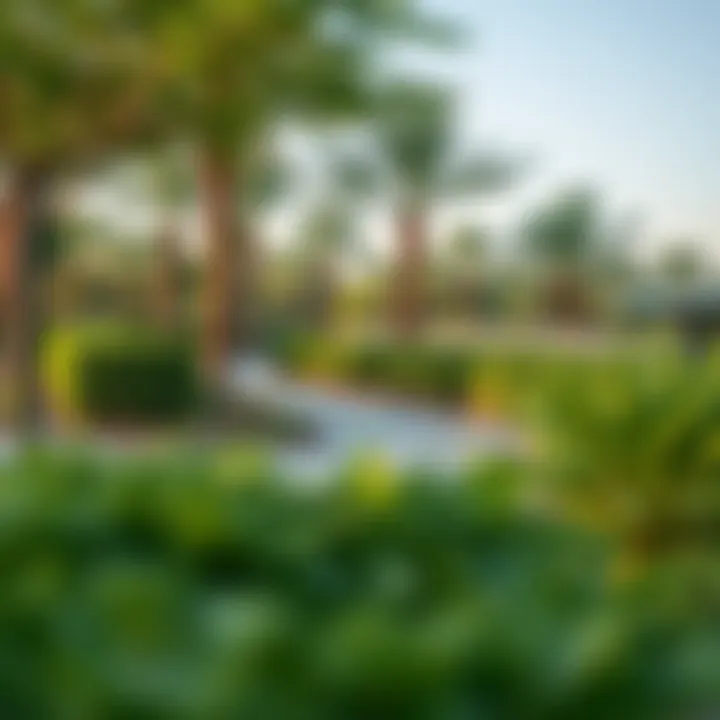 Serene Green Spaces in Joury Hills Lush green spaces and parks in Arada
