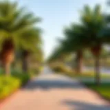 Lush Greenery of Lulu Al Nahda Park A serene view of Lulu Al Nahda Park showcasing its lush greenery and walking paths.