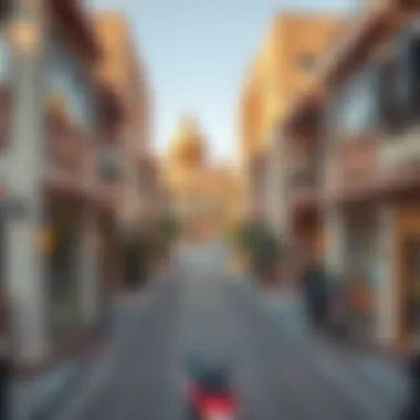 Exploring Lulu Shamkha: A Comprehensive Guide to an Emerging Dubai Neighborhood Introduction Exploring Lulu Shamkha: A Comprehensive Guide to an Emerging Dubai Neighborhood Introduction