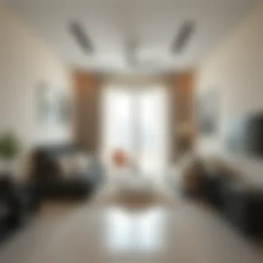 Contemporary Studio Apartment Design A modern studio apartment interior in Mohammed Bin Zayed City showcasing contemporary design.