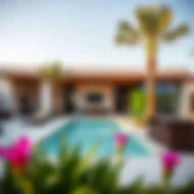 Vibrant community amenities and outdoor spaces at One Palm