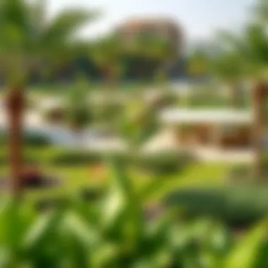 Vibrant community park in District One with lush greenery and facilities