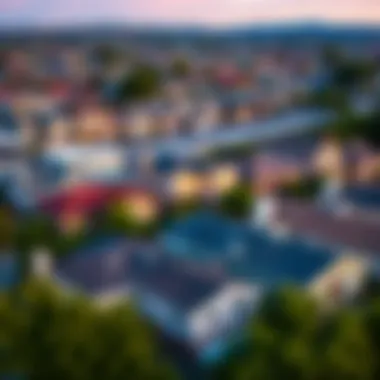 Diverse Housing Styles in the Bay Area An aerial shot depicting various housing styles in the Bay Area