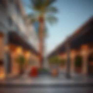 Amenities available in Shabiya rentals