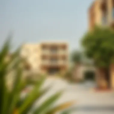 Exploring Studio Rentals in Bur Dubai Summary Exploring Studio Rentals in Bur Dubai Summary