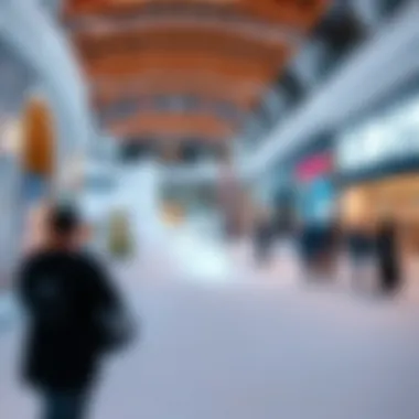 Notable Exploring the Intricacies of Emirate Mall's Snow Experience Notable Exploring the Intricacies of Emirate Mall's Snow Experience