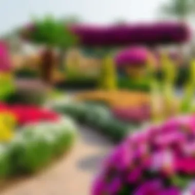 Dubai Miracle Garden: A Floral Wonderland A tranquil scene at the Dubai Miracle Garden