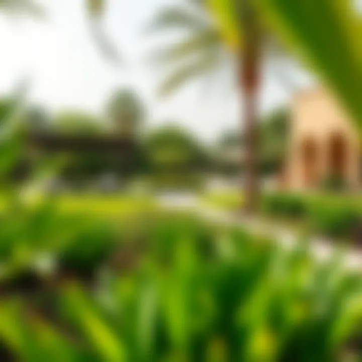 Lush green landscaping and amenity spaces within the Yas Acres community