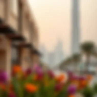 Family-Friendly Places in Dubai Summary Family-Friendly Places in Dubai Summary