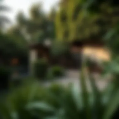 Lush Green Park Retreat Tranquil park setting with lush greenery for couples